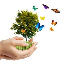 Cooperazione sociale e innovazione